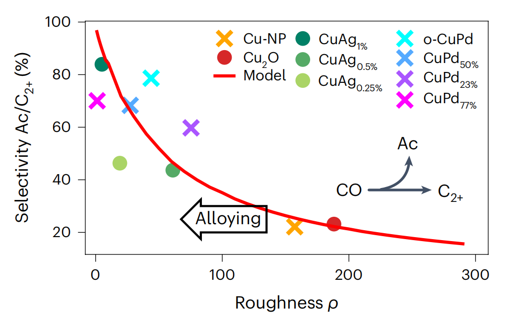 德國馬普所，重磅Nature Catalysis！