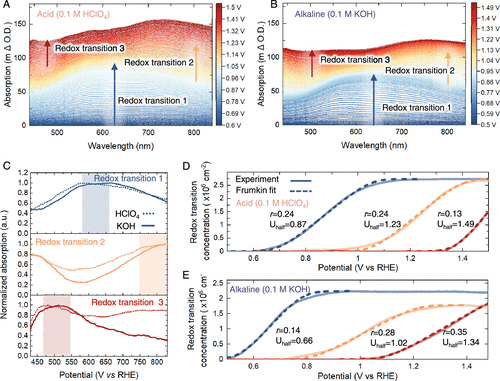 帝國理工Nature Catalysis + JACS：二氧化銥水氧化光譜電化學新發(fā)現