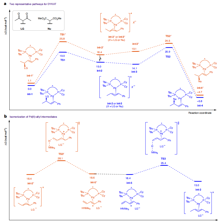 聯(lián)手導(dǎo)師共同通訊，上海有機(jī)所，最新Nature Synthesis！