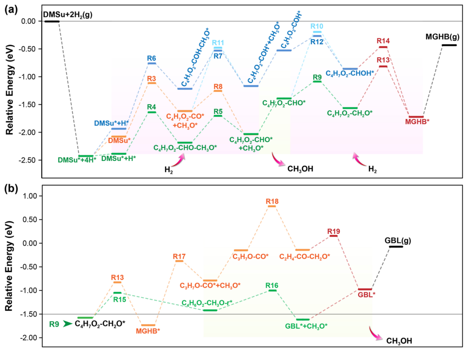 天津大學(xué)余英哲，最新ACS Catalysis！