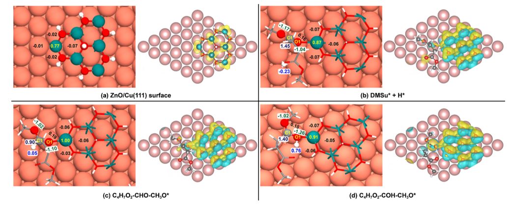 天津大學(xué)余英哲，最新ACS Catalysis！