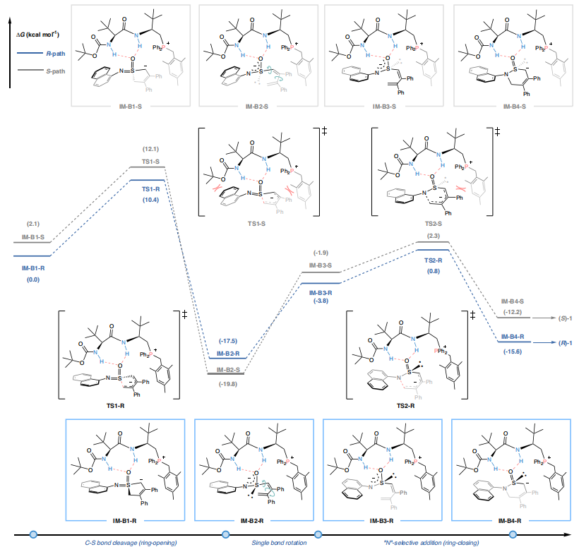 四川大學，最新Nature子刊！