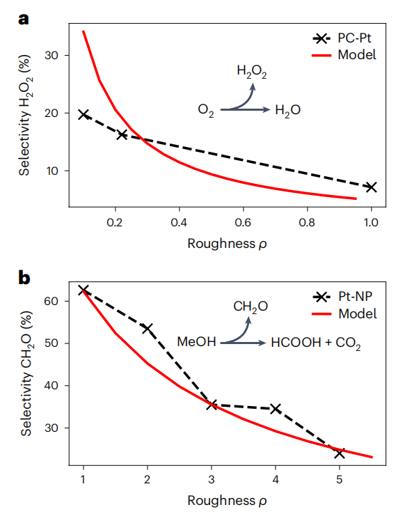 德國馬普所，重磅Nature Catalysis！