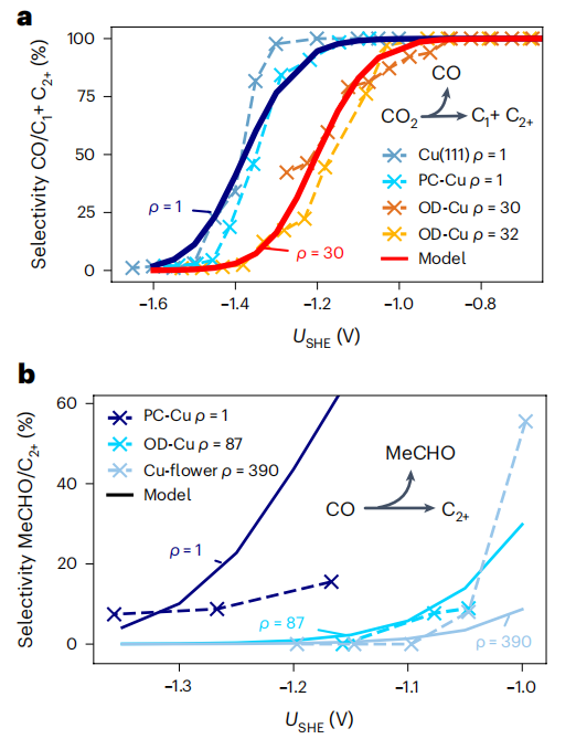 德國馬普所，重磅Nature Catalysis！