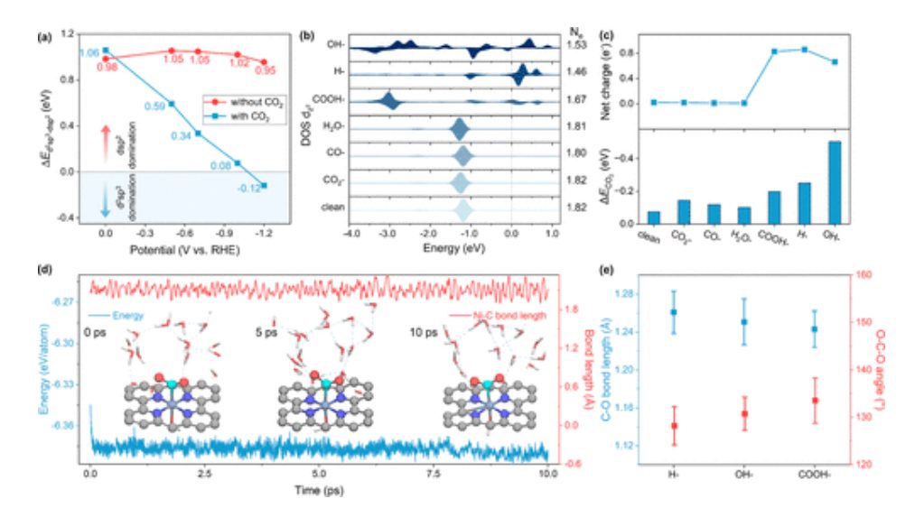 東南大學(xué)王金蘭/凌崇益，最新JACS！