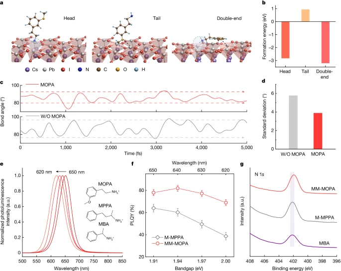 上海大學(xué)，2024年最新Nature！