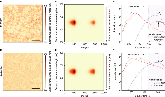 上海大學(xué)，2024年最新Nature！