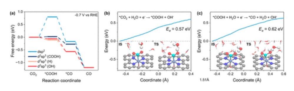 東南大學(xué)王金蘭/凌崇益，最新JACS！