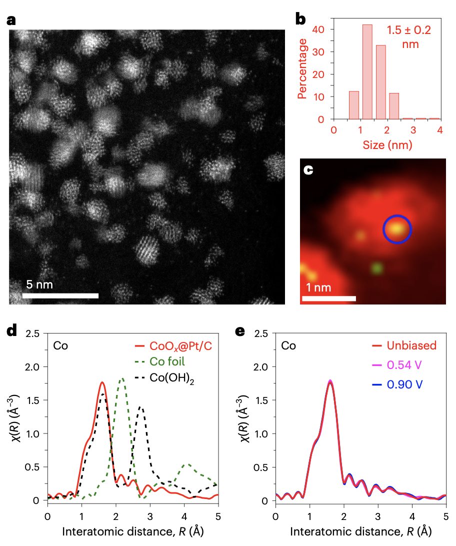 硬核！她，剛發(fā)完Nature，時(shí)隔一周，再發(fā)Nature Catalysis！武大/浙大校友共同一作！