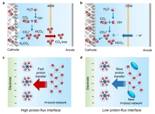 ?華理ACS Catal.: 電解質(zhì)調(diào)控界面氫鍵環(huán)境，促進酸性CO2電解