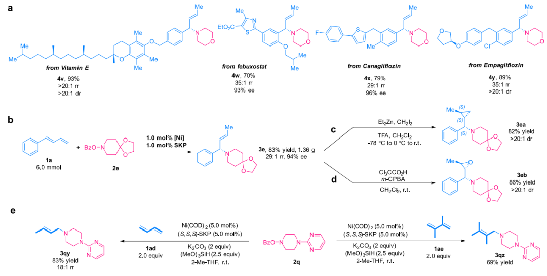 重磅！丁奎嶺院士，最新JACS！