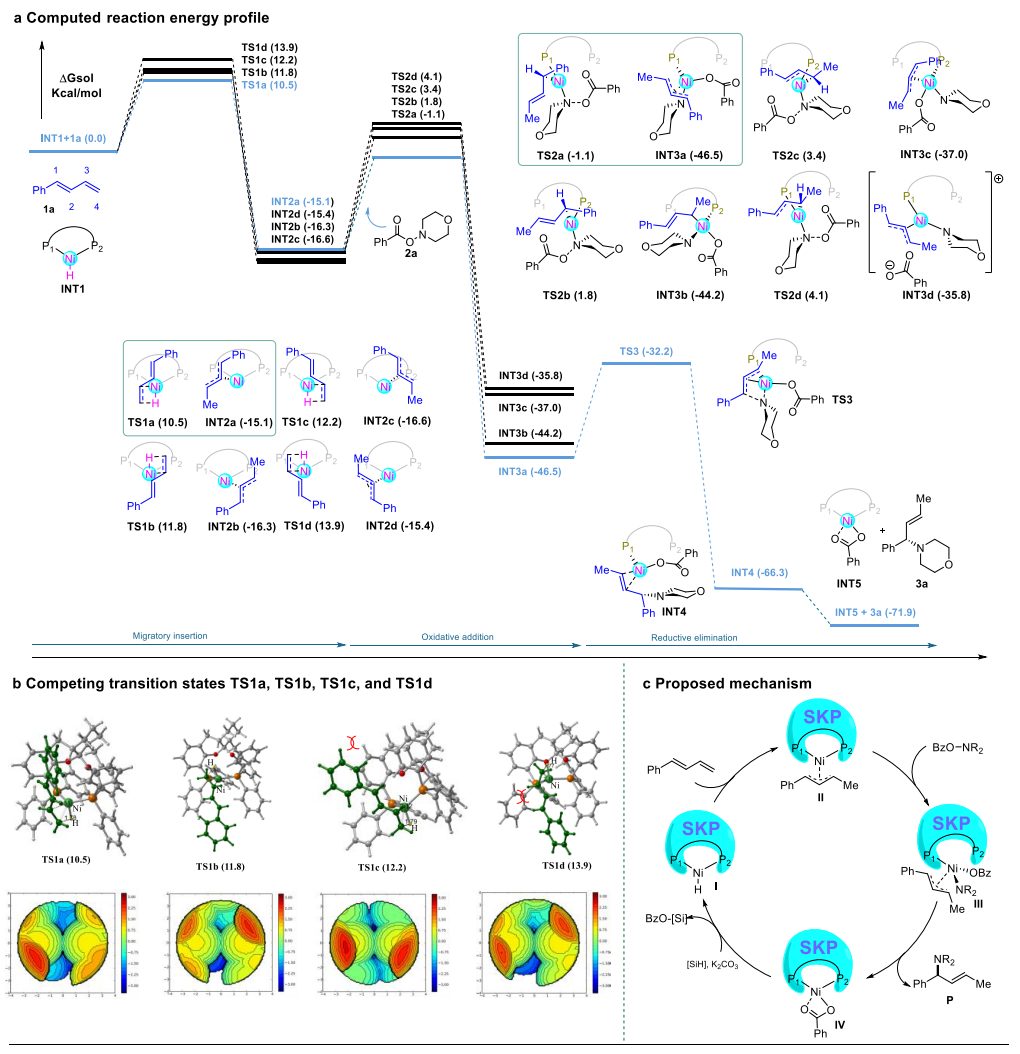 重磅！丁奎嶺院士，最新JACS！