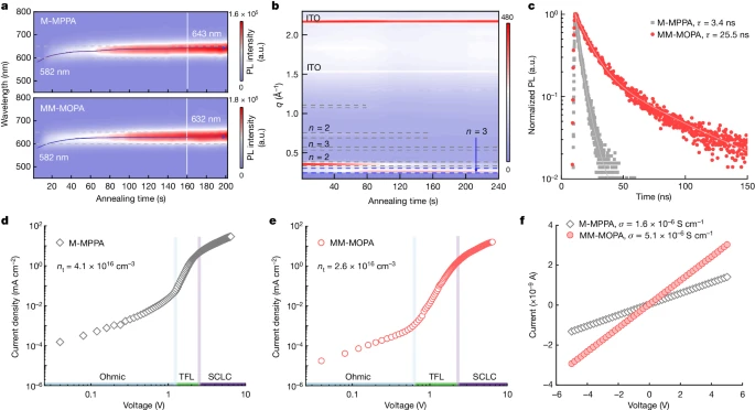 上海大學(xué)，2024年最新Nature！
