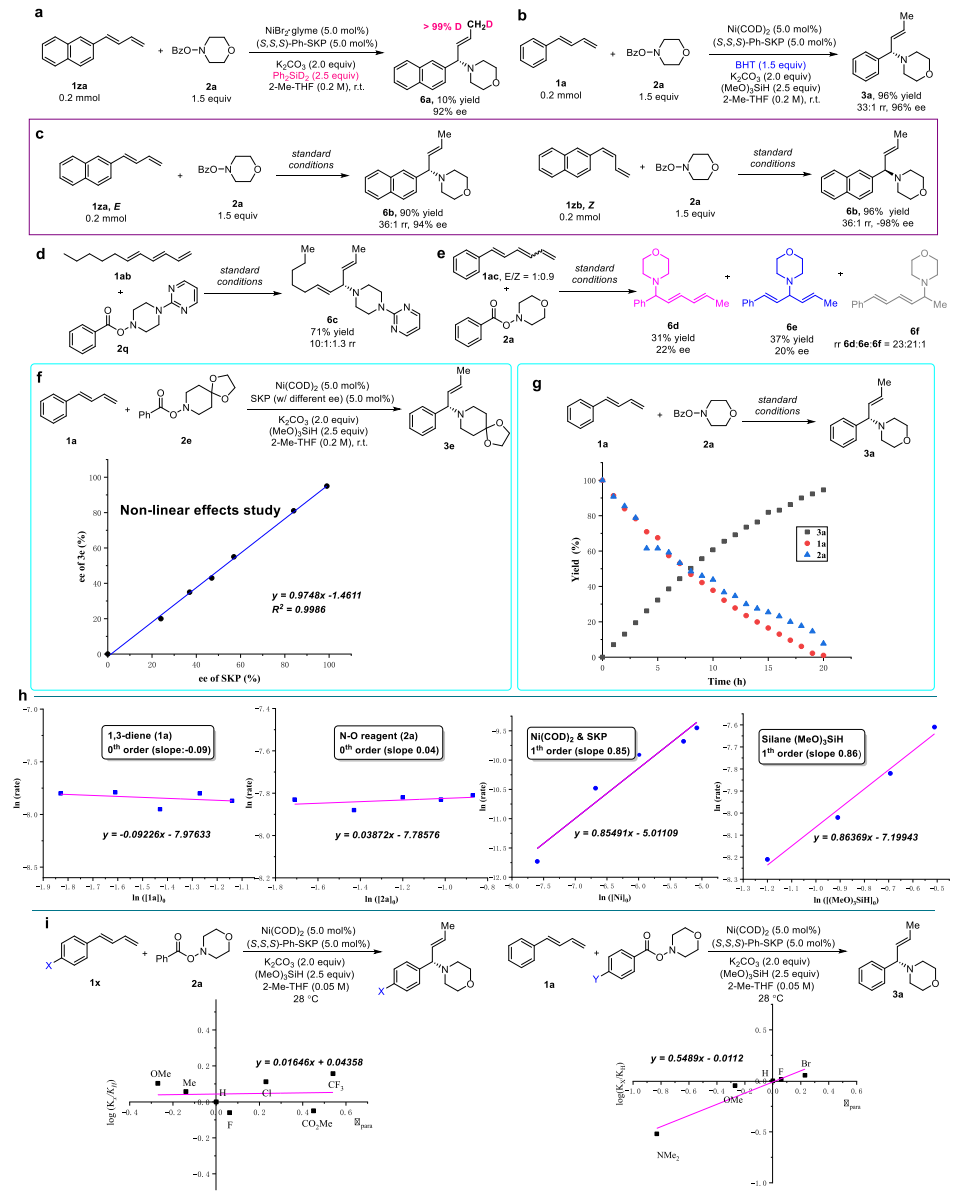 重磅！丁奎嶺院士，最新JACS！