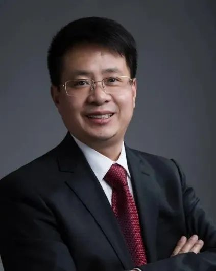武漢理工麥立強/徐林Angew：高穩(wěn)定性、阻燃的深共晶電解質(zhì)用于高性能鋰金屬電池
