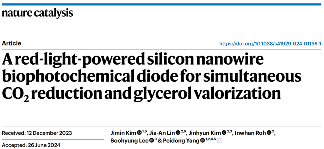 Si納米線“再續(xù)傳奇”！三院院士楊培東，最新Nature Catalysis！