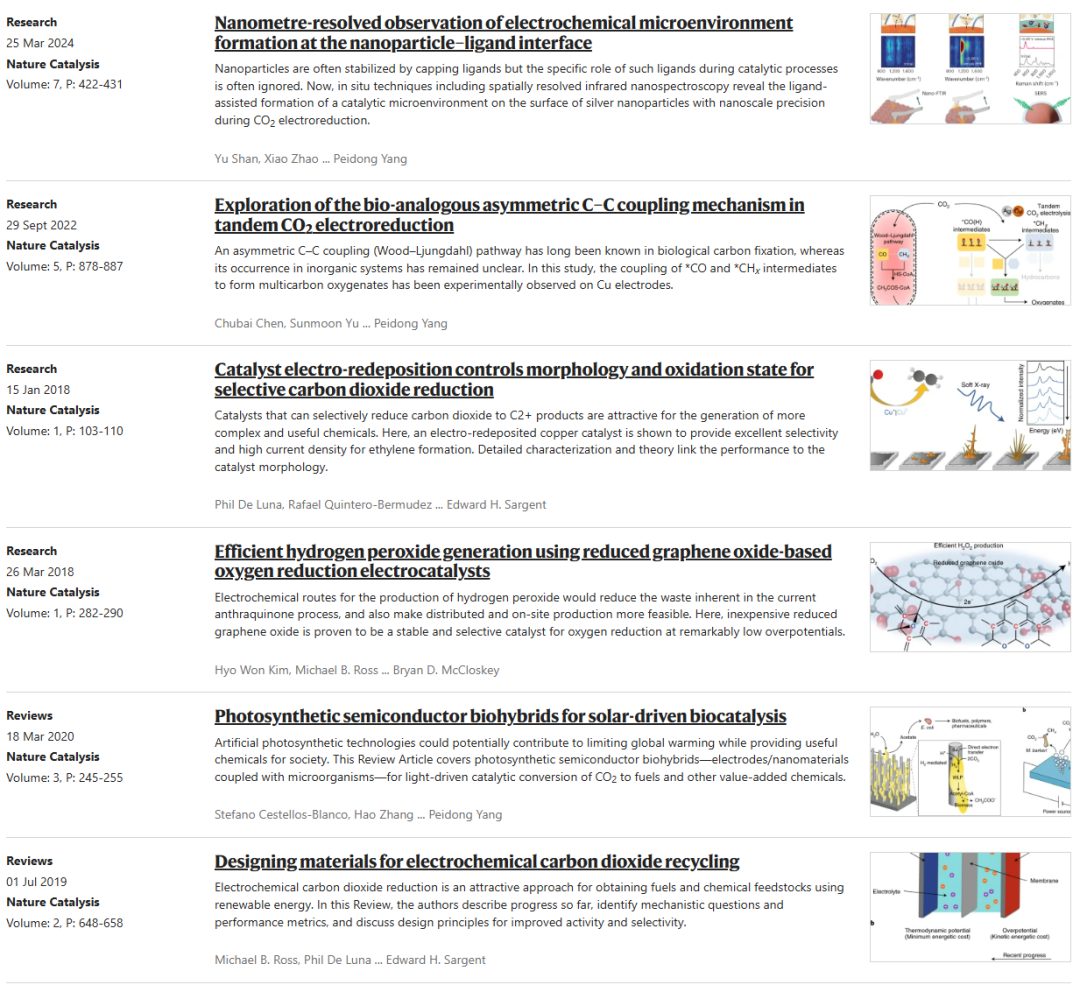 Si納米線“再續(xù)傳奇”！三院院士楊培東，最新Nature Catalysis！