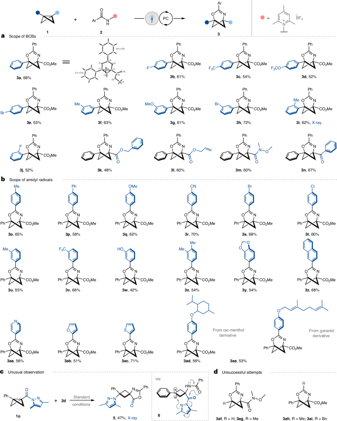 大牛Glorius院士，最新Nature Catalysis！