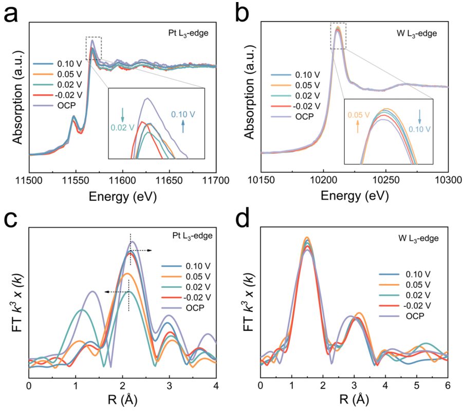 黑龍江大學，最新JACS！