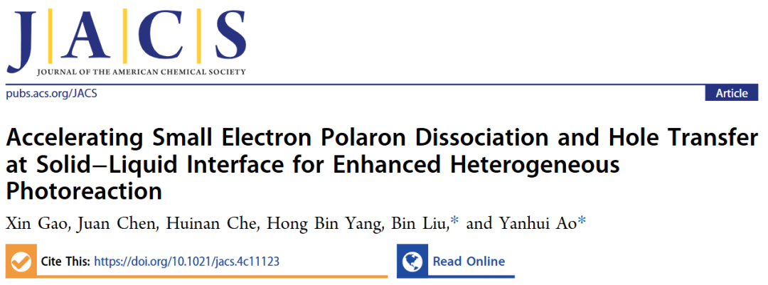 684倍！河海&港城大，最新JACS！
