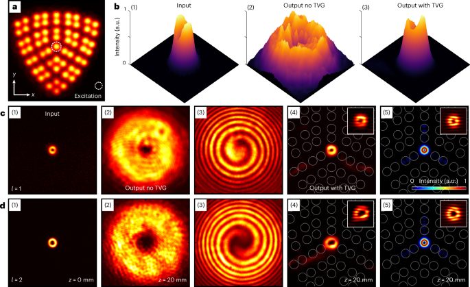IF=32.3！南開大學(xué)，Nature Photonics！