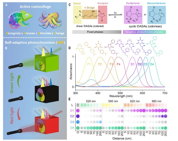 首提！材料自適應(yīng)光致變色！電子科大，最新Science子刊！