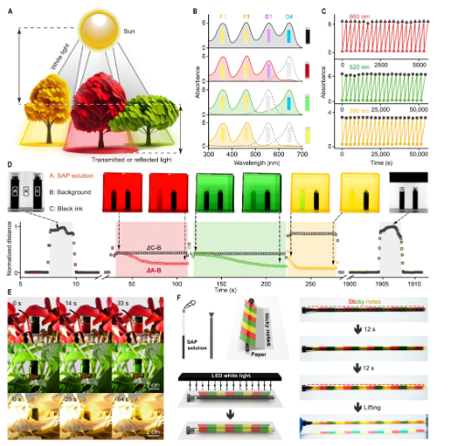 首提！材料自適應(yīng)光致變色！電子科大，最新Science子刊！