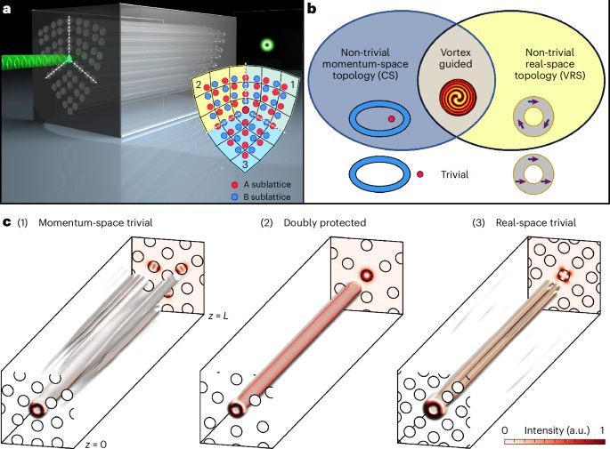 IF=32.3！南開大學(xué)，Nature Photonics！