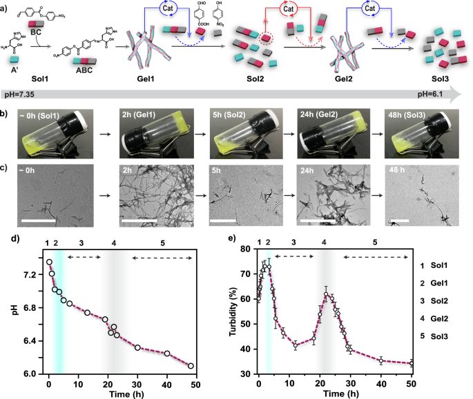 自組裝！這個(gè)團(tuán)隊(duì)，連發(fā)Nature綜述、JACS，最新成果又登Nature子刊！