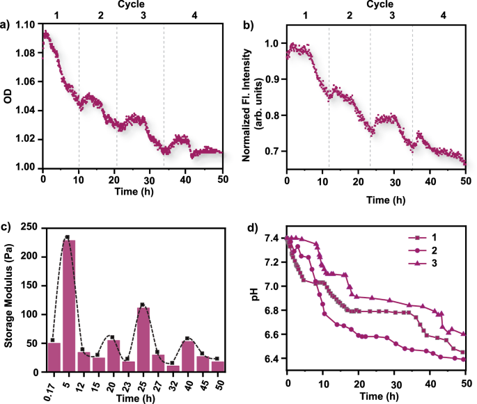自組裝！這個(gè)團(tuán)隊(duì)，連發(fā)Nature綜述、JACS，最新成果又登Nature子刊！