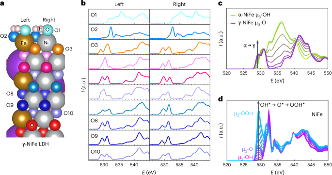 催化大牛P. Strasser，新發(fā)Nature Catalysis！