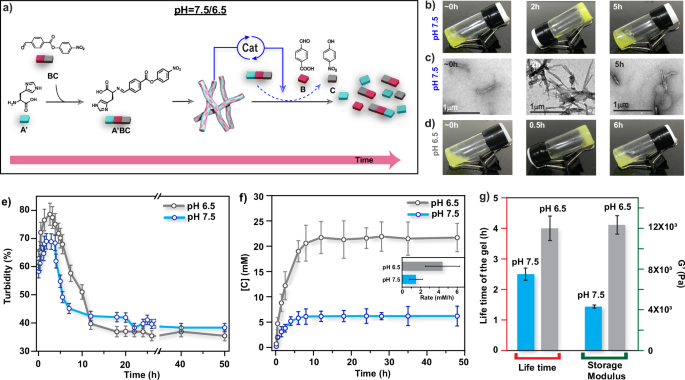 自組裝！這個(gè)團(tuán)隊(duì)，連發(fā)Nature綜述、JACS，最新成果又登Nature子刊！