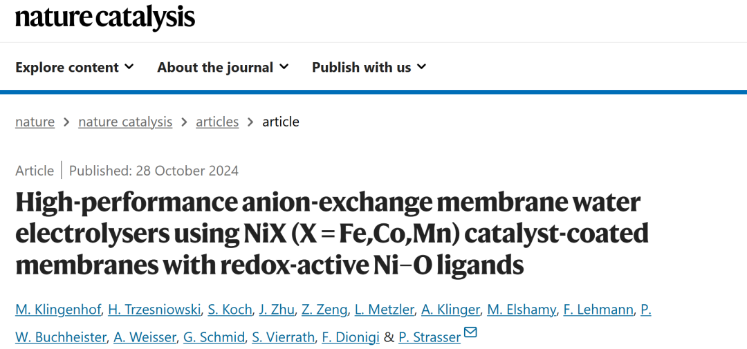 催化大牛P. Strasser，新發(fā)Nature Catalysis！