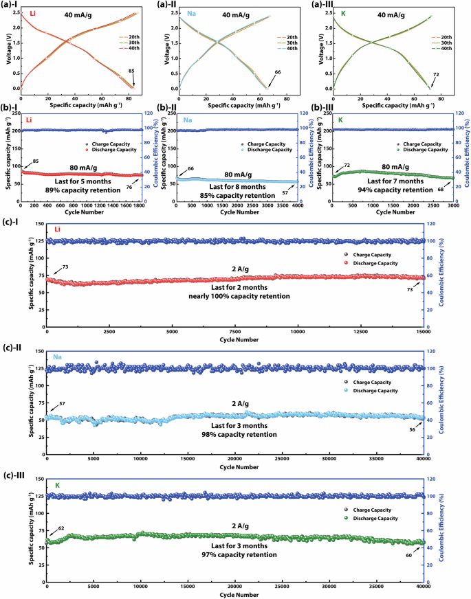 1.5W次，近100%！電子科大&長(zhǎng)虹電器，最新電池Nature子刊！