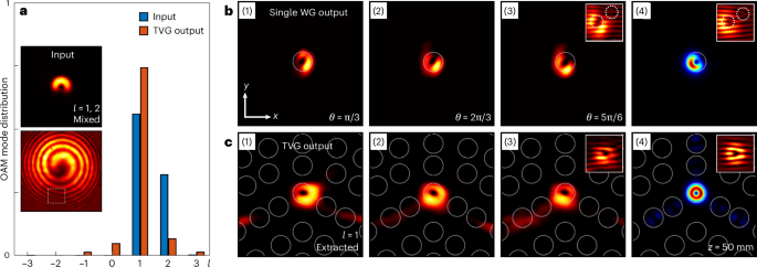 IF=32.3！南開大學(xué)，Nature Photonics！