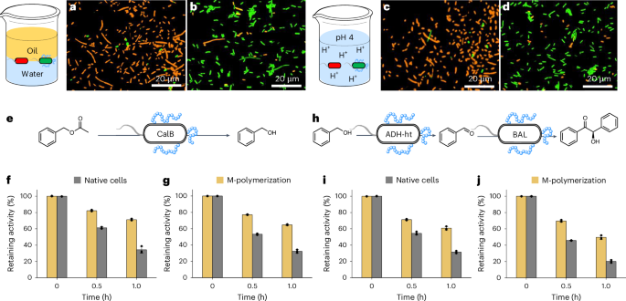 安農大校友，登頂Nature Catalysis！