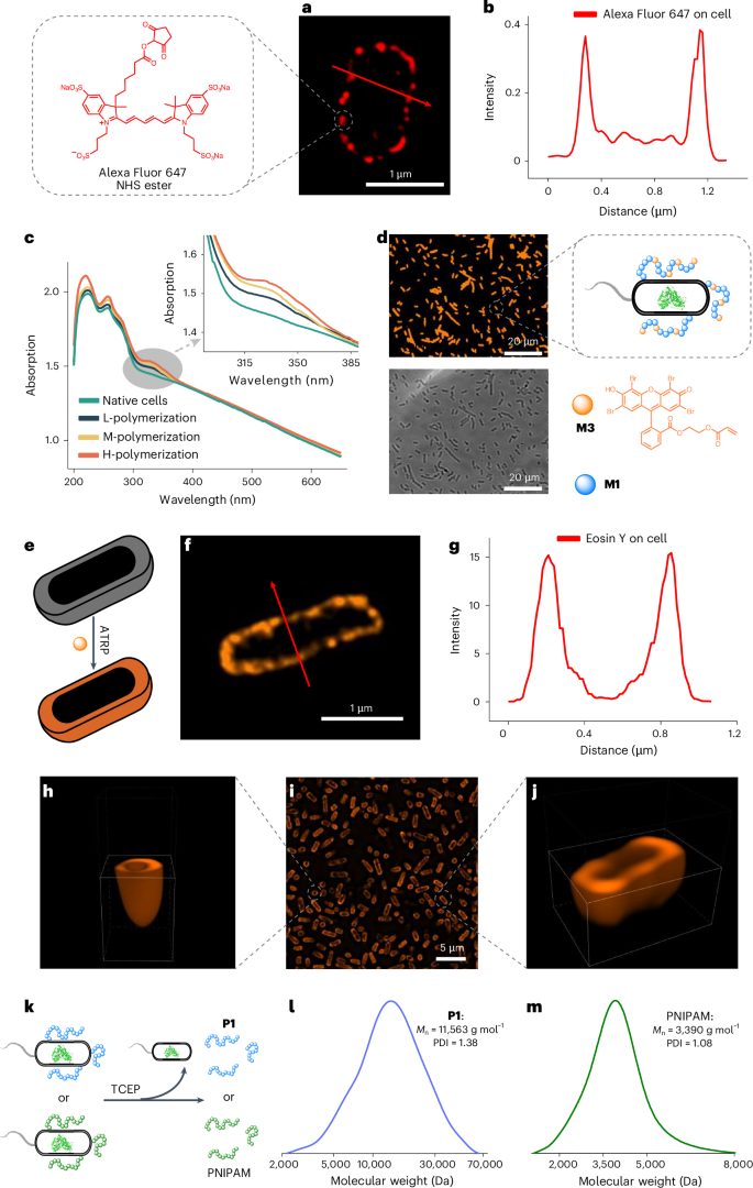 安農大校友，登頂Nature Catalysis！