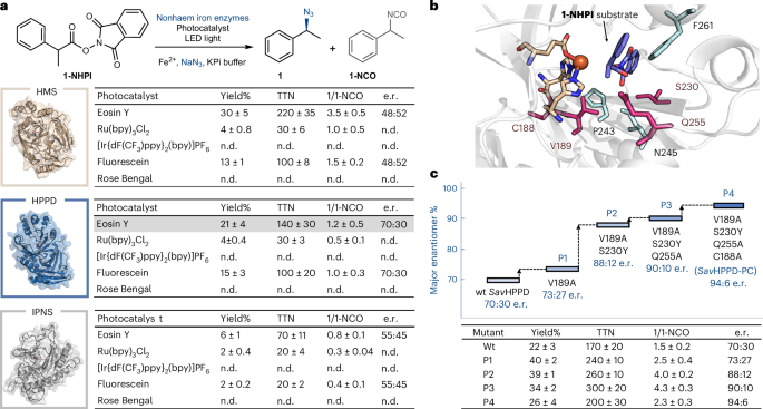 效法自然，生物催化！他，科大校友/霍普金斯教職，繼Science后，再發(fā)Nature Catalysis！