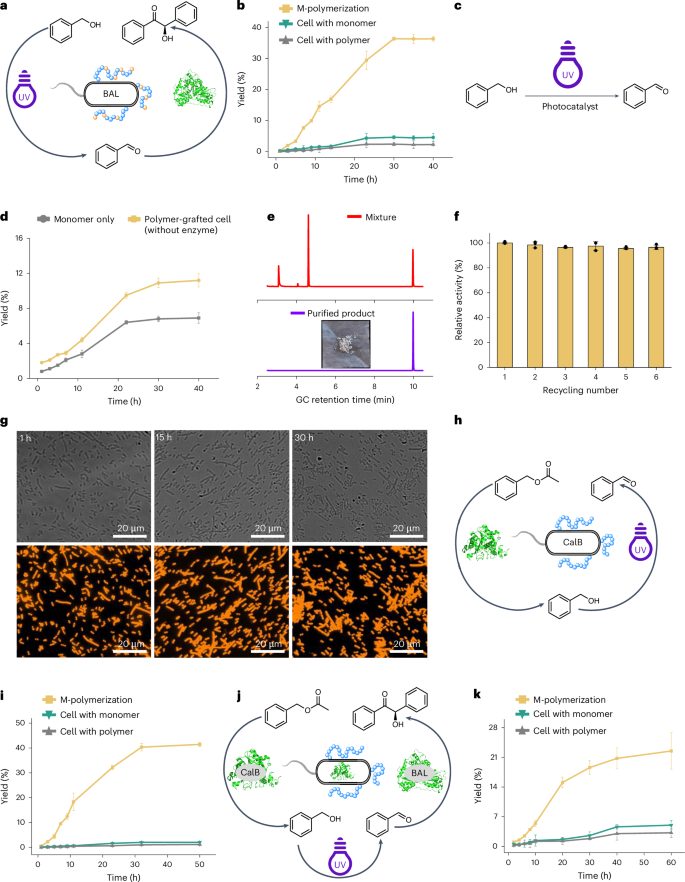 安農大校友，登頂Nature Catalysis！