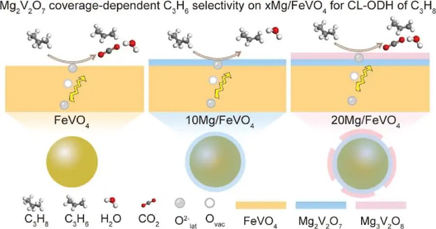 鞏金龍，最新ACS Catalysis！