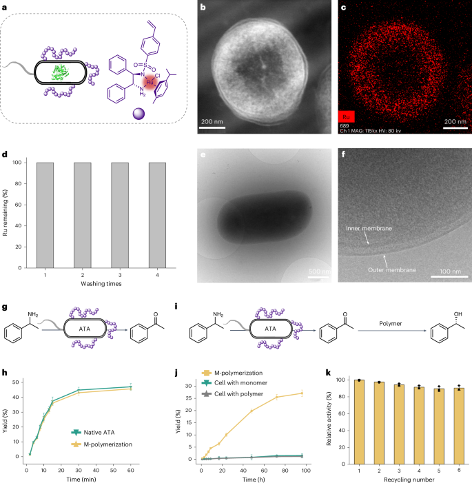 安農大校友，登頂Nature Catalysis！