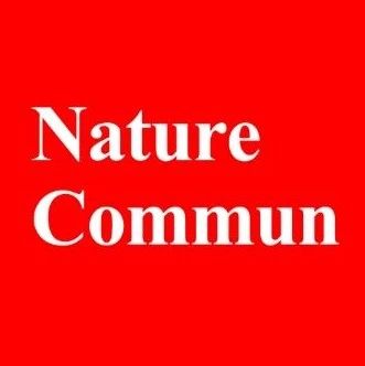 ?Nature子刊：非晶涂層消除鋰固態(tài)電池正極>4.5V循環(huán)中的化學(xué)-機(jī)械降解