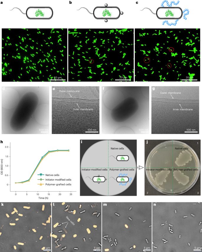 安農大校友，登頂Nature Catalysis！