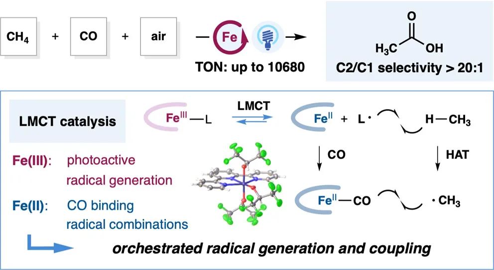 又帥又牛！他，手握2篇Science，博畢3年即研究員、9年「國家杰青」，最新JACS！