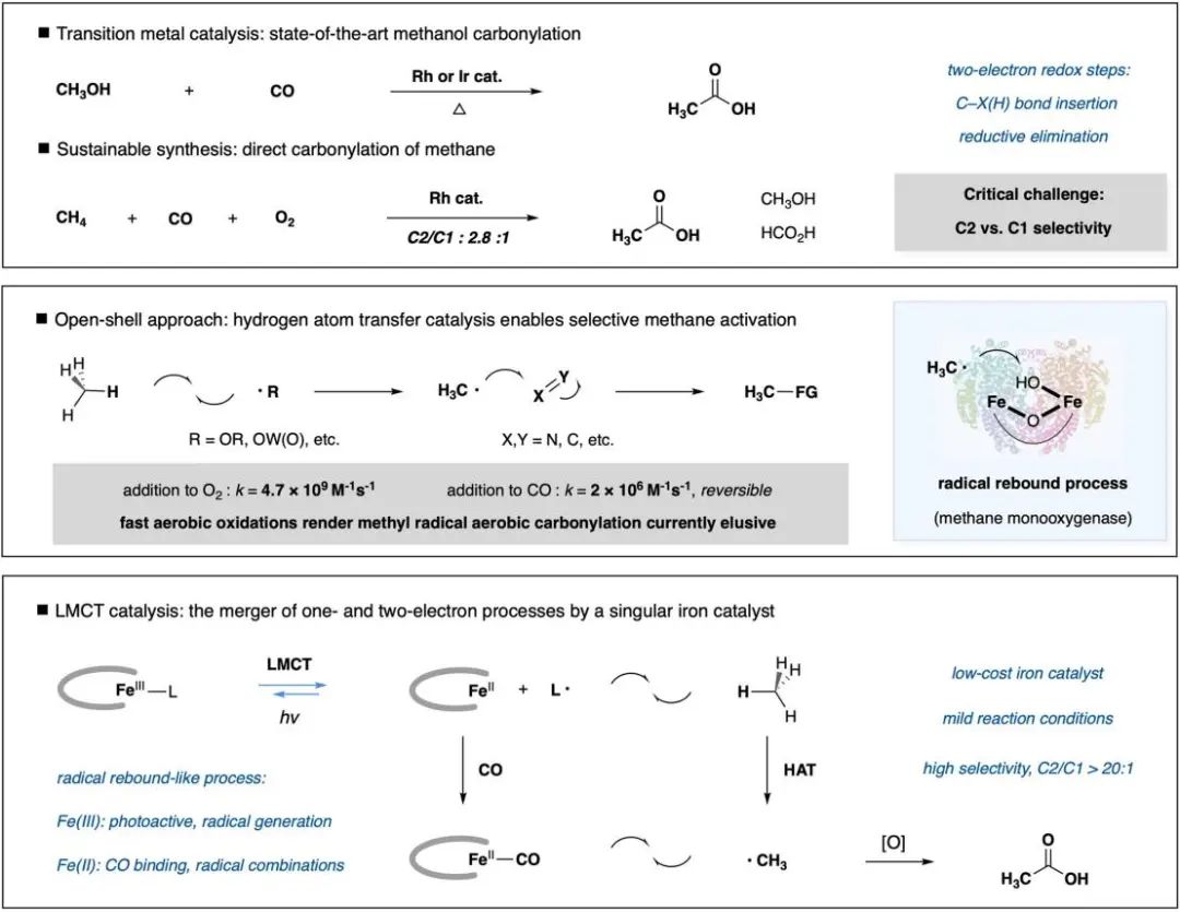 又帥又牛！他，手握2篇Science，博畢3年即研究員、9年「國家杰青」，最新JACS！