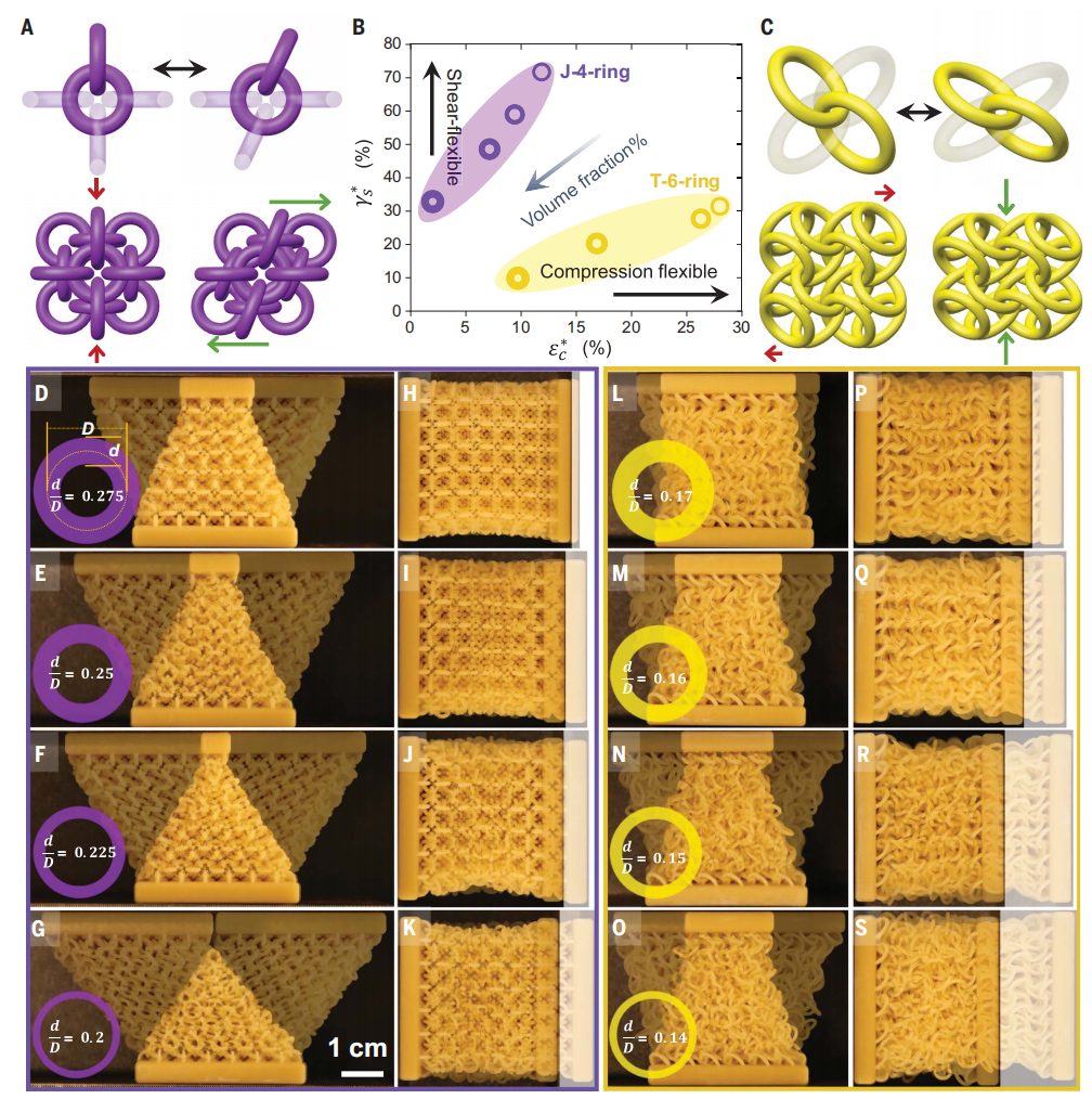 他，南開校友，一作+通訊，登頂今日Science封面！