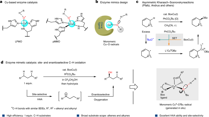 上海有機(jī)所，Nature Catalysis！