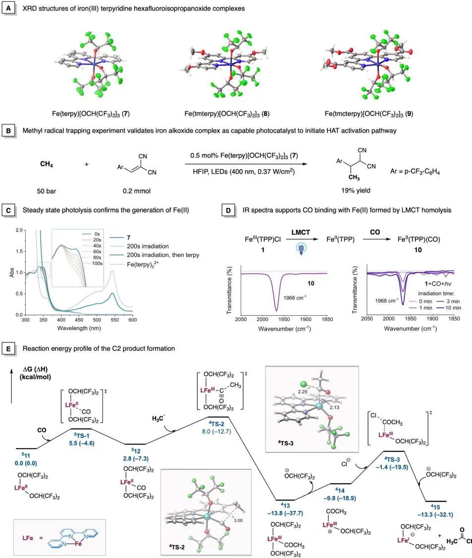 又帥又牛！他，手握2篇Science，博畢3年即研究員、9年「國家杰青」，最新JACS！