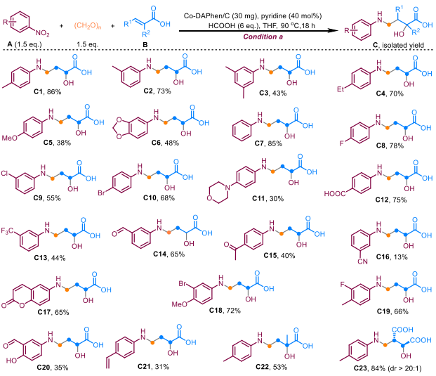 鈷催化！華南理工大學(xué)張珉，新發(fā)JACS！