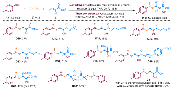 鈷催化！華南理工大學(xué)張珉，新發(fā)JACS！